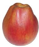 Y372   Rare over size Apple, Stone Fruit,  very unusual  shape, 4 1/2" tall x 3 1/2" wide