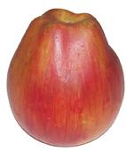 Y372   Rare over size Apple, Stone Fruit,  very unusual  shape,