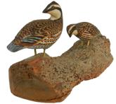 W284 Pair of Bobwhites on a driftwood, Carl Malmstrom, Long Cove, Maine, circa 1950.