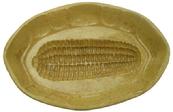 V362 Yellow ware Corn Mold this is a large mold great detail to the corn pattern, discoloring from use, a few small chips around rim   9 1/2" x 6 1/2"