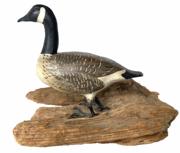 G574 Mid 20th century hand carved miniature goose on a piece of driftwood. Bought out of a collection in Cape Cod, MA. Maker unknown, but it is very well done! All original. Goose measures 3 1/2� long x 3� tall x 1 1/4� wide and it is mounted on a piece of driftwood measuring approximately 3 1/2� x 5�.  
