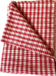 G360 Wonderful late 19th Century Red and White Plaid Homespun featherbed (duvet) cover.  The panels of narrow loomed heavyweight linen/cotton mix homespun fabric are all hand stitched together to form a large pocket, with woven ribbon ties for closure. Minor small hand stitched repairs throughout, as indicative of use. Measurements: 44 3/4� wide x 67 1/2� long.