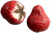  H451L Stone Fruit - Large Strawberry with stem and natural fiber cap. Approximate measurements: 2" long x 1 1/2" x 1 3/4"