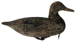 E6 Early 20th century Backbay Virginia Black Duck, outstanding condition, vert unusual with a heigh shelf. carver unknown