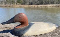 *SOLD* F129 Canvasback Sink Box Decoy painted by Captain William E. “Bill” Collins Centreville, Maryland Born 1949 Born at Perry Point and raised in Perryville, Bill Collins began hunting and repairing decoys at an early age under the encouragement and tutelage of his older brother.