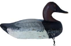 *SOLD* A279  Canvasback drake by Captain Jess Urie of Rock Hall Maryland. showing second coat of working paint showing  elaborate blending of colors  Hit by shot on righ side of bill .  marker: Capt Jess Urie � 1950 Rock Hall Md.".