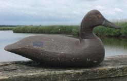 *SOLD* C354 Dough Jester Black Duck Decoy in original paint circa 1930's's--DOUG JESTER (1876-1961) old original paint, carved nostrils & bill. strong neck shelf and tack eyes. Body is handchopped rounded bottom,scratched Feather painting on back,