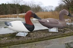 C8 Pair of Maryland high head canvasback Decoys carved by Jim Perce, Haved Grace Maryland branded on bottom JP