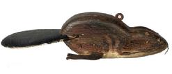 **SOLD** F196 Beaver fishing decoy with movable wooden tail, metal legs, tiny tack eyes, pronounced teeth and retains one side of his wire whiskers. Original weights and paint. From the collection of Barry Nelson