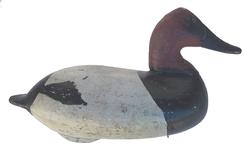 T266  Will "Billy Snakes" Heverin 1860-1951 - Charlestown, MD, Canvasback Drake old working repaint circa 1920- 1930 good condition 15" long x 8 1/2" tall