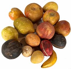 H133 15 pieces of stone fruit  3 figs, 1 lemon, 2 apples, 3 pears, 1 peach, 1 small plum, miniature orange, miniature Banana miniature  red plum, miniature yellow 