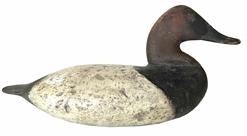 H279 Taylor Boyd Canvasback Drake decoy. Retains original weight and rigging on bottom. Approximate measurements: 15 3/4" long x 6 1/2" wide x 7" tall