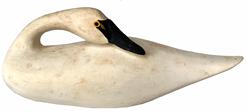 *SOLD* H391 Miniature hand carved wooden Swan Decoy in the �sleeper� pose � unsigned.