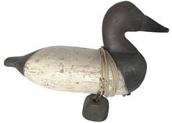 RM1059  Rare Charles Barnard (1876-1958) Canvasback Drake  decoy from upper Chesapeake Bay from the Gabler rig . Notice boat hull like body. Original balance weight,Barnard was a guide and market hunter. Many consider his decoys to be the finest example of an Upper Bay carving. Cleaned down to the original paint shows wear from hunting use  14 1/2"long x 7 3/4" tall 