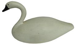 W368 Mid 19th century hand carved miniature Swan by Frank Cockey from Kent Island Maryland, 1940-1950