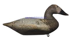 E265 Early  Canvasback Hen decoy  circa 1900  from Upper Bay Susquehanna Flats,  tack eyes early 2nd coat of paint over the original  paint. Traces of a brand on bottom of decoy
