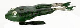M16K Hand carved and painted Frog shaped Fish Decoy with large painted tack eyes and metal legs / feet. The carver of this whimsical fish decoy is identified as Raymond �Ray� Veihl of Michigan. Solid wooden body with stationery metal fins featuring painted details to match the body paint and a metal weight embedded into the underbelly.  Approximate measurements: ~5 &frac14;� long x 2 &frac14;� wide x ~5/8� thick. 
