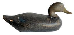 **SOLD** L457 Upper Bay Black Duck Decoy carved by Paul Gibson (1902-1984) of Havre de Grace, MD. Decoy bears original scratch painted surface. A tight crack to neck and evidence of gunning marks are indicative of age and use. Original weight, staple and ring remain intact on bottom.   