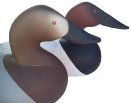 *SOLD* Q313 Pair of Canvasback carver Charles Bryan 1985 signed and dated, great condition