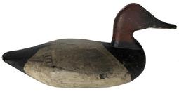 RM1055 Beautiful Canvasback Drake by Captain Harry Moore ( Captin of the gunning sloop boat Susquehanna) it has it original dry unclean paint surface, branded on the bottom H.H.