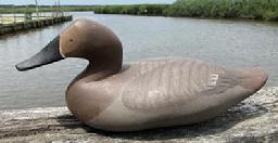 **SOLD** F311 1960’s R Madison Mitchell Canvasback Hen, signed and dated . branded E.L.W ( Eban Waterfield ) from the Knotts Island area North Carolina .excellent condition