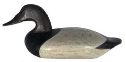 E350 Early Canvasback Drake Decoy old working repaint, branded J on the bottom originally had a iron keel on bottom removed to display, carver unknown circa 1910
