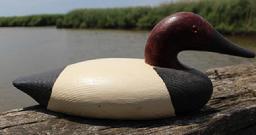 C390 Dorchester Co. Maryland Canvasback Drake decoy, carved by Louis Tyler, in the original paint signed and dated 1990