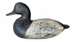 RM1372 Rare bluebill decoy by John Graham, Charlestown, Maryland, last quarter 19th century hard species to find by this early maker. A fat little decoy measuring 12� inches bill to tail.