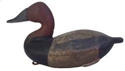 RM 29 DUDLEY STYLE CANVASBACK DRAKE DECOY BY MARK FINISECY, FAULKNOR, MARYLAND. 