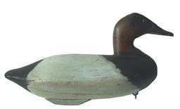 Henry Davis 1875~1956 , Henry Davis  Canvasback Drake. It is true to Cecil County with a thick paddle tail and small shelf. his  decoys are nicely carved with a very straight level back, and thick blunt paddle tail. 