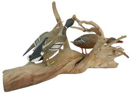 W283  Mallard drake  and Hen by Carl Malmstrom of Long Cove, Maine. Carved approximately ? size The Drake has   raised and partially separated wings. . Original paint. Signed under weathered driftwood base