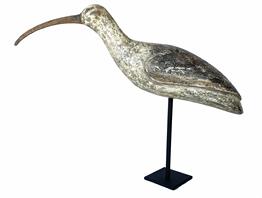 G616 Large Curlew shore bird decoy with defined wings and long, downward curved wooden bill. Hand hewn marks throughout the body.Measurements: 19� long (tip of tail to end of bill) x 15� tall (including stand). The body is approximately 4 1/4� wide and the bill is 5 1/2� long.  