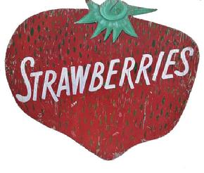 H273 Early 20th century large strawberry shaped roadside trade sign from Hanover Pennsylvania. � advertising �STRAWBERRIES�. Double sided. The colors of this sign are beautiful with the white lettering painted on a realistic background of red with green �seeds� and added shading details to the cap leaves at the top. 