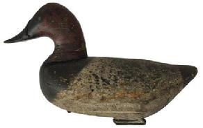 D415 Very unusual upper Bay Canvasback Decoy in earlie paint, maker unknow circa 1940 -1950