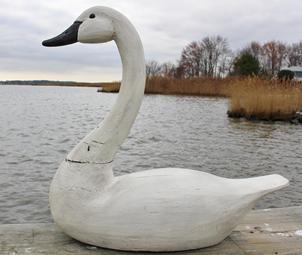 B620 Maryland full size white Swan, wooden hand carved, maker unknown, original paint, small age crack to the neck