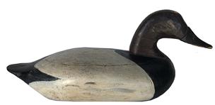 E350 Early Canvasback Drake Decoy old working repaint, branded "J "  on the bottom originally had a iron keel  on bottom removed to display, carver unknown  circa 1910
