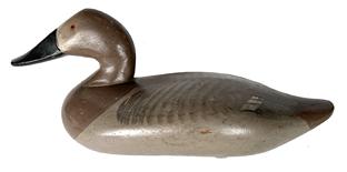 H395 Canvasback Hen Decoy - Signed and dated on bottom "R. Madison Mitchell 1955". Original weight and ring are intact on bottom of decoy. Approximate measurements: 15 ¾� long x 6 ½� wide x 7� tall