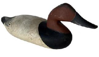 G446 Canvasback Decoy carved by Bob Matthew Havre de grave Decoy made in Madison Mitchell shop