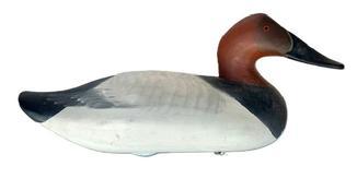 L411 Canvasback Drake decoy carved by Madison Mitchell (1901-1993) from Havre de Grace, Maryland. Electric pencil signature on bottom - "R. Madison Mitchell Havre de Grace, Md - 1975 Decoy has a slightly turned head, retains its original weight, staple and ring on bottom and bears its original painted surface with dry surface - never oiled or waxed.