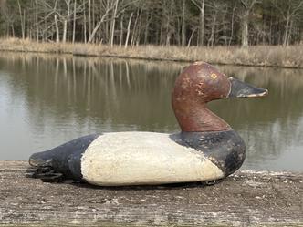 RM1095 Rare Charles Barnard (1876-1958) Canvasback Drake decoy from upper Chesapeake Bay branded with a "G" for the name Gabler rig . Notice boat hull like body. Original balance weight,Barnard was a guide and market hunter. Many consider his decoys to be the finest example of an Upper Bay carving. Cleaned down to the original paint shows several shot holes, from hunting use