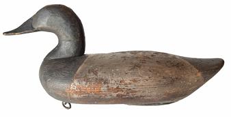 RM1334 Canvasback Hen Decoy, carved by James T. Holly of Havre de Grace, Maryland (1855-1935) - Retains original iron weight, staple and ring on bottom, as well as a bold rig brand "B" on bottom. Approximate measurements: 15 1/4" x 6 1/2" wide x 7" tall. The branded "B" measures approximately 1 3/4" x 1 1/2".
