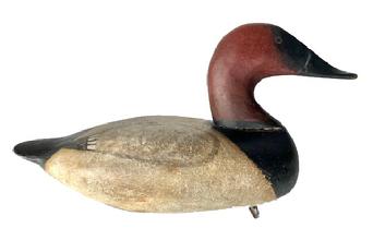 **SOLD** J215 Canvasback Drake Decoy carved by Scott Jackson (1852-1929) of Charlestown, Maryland - Cleaned to the original paint and enhanced. Original weight, ring and staple intact on bottom.