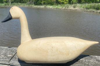 H301 Dorchester County, Maryland hand carved Folk art swan decoy with glass eyes and wooden keel. Original painted surface. Carver unknown. Approximate measurements:  29� long x 9 ½� wide x 17� tall