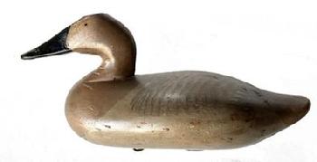 J177 Canvasback Hen Decoy carved by R. Madison Mitchell (1901-1993) from Havre de Grace, Maryland. Original weight and ring are intact on bottom of decoy.