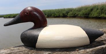 C390 Canvasback Drake, carved by Louis Tyler, in the original paint signed and dated 1990