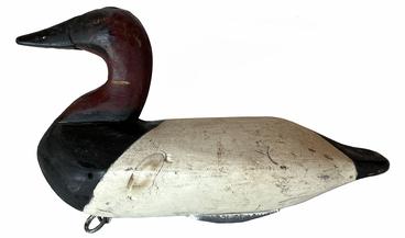 H1010 Canvasback Drake decoy carved by Carroll "Wally" Algard (1883-1959), Charlestown, Maryland) from the �Nichols� rig. Original weight, staple and ring remain intact on bottom. Remnants of being shot over evident in several areas of this decoy. 