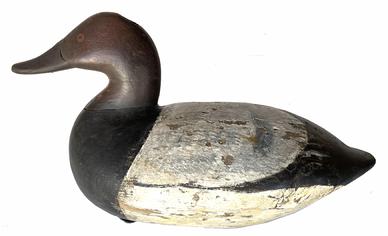 *SOLD* G830 Early Canvasback Drake by John B. Graham (1822-1912) Charlestown, MD, working repaint with great form with a fat body branded on underside with a (3) Though John Graham was a cabinet maker, guide, market hunter and Charlestown's undertaker, he still found time to produce large quantities of decoys between the 1840's and 1880's.