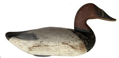 **SOLD** F281 Canvasback Drake decoy, carved by James A. Currier (1886 � 1971) of Havre De Grace, Maryland. Decoy was carved around 1930�s � 1940�s and retains a large portion of original paint as well as some of the second coat of paint.