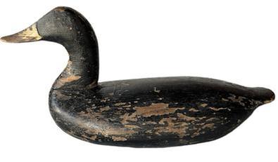 RM1573 High-head Black Duck Decoy carved by Taylor Boyd (1856-1946) of Perryville, Maryland. Surface retains possible second coat of paint with areas of original paint showing through. Original ring and staple intact on bottom. Circa 1910-1920. Approximate measurements: 17� long x 6 &frac12;� wide x 8 &frac12;� tall. 