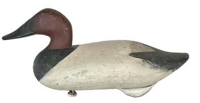 **SOLD** K1537 Canvasback Decoy carved by Madison Mitchell Havre de Grace, MD (1901-1993) bearing a nice second coat of working paint and a few areas showing evidence of being shot over. Original staple, ring and weight remain intact on bottom.   